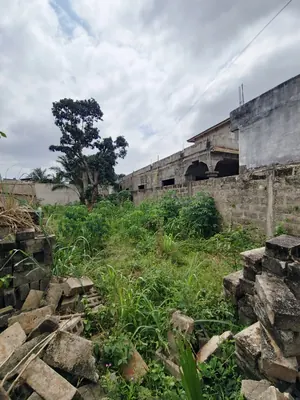 Vente d'un terrain à Agoè Legbassito Assiko, demi-lot clôturé de 291 m², près de l'église Assemblée de Dieu – 15 000 000 FCFA — photo 7