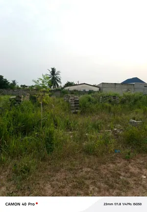 Terrain demi-lot 300 m² en vente à Zanguéra-Aképédo près du goudron Lomé-Kpalimé – 10 millions FCFA — photo 3