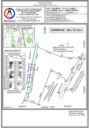 14 hectares à vendre à l'entrée de Notsé, lieu-dit Alinou Yotiglo, à 3 km du goudron RN1 – 2,5 millions FCFA par hectare — photo 2