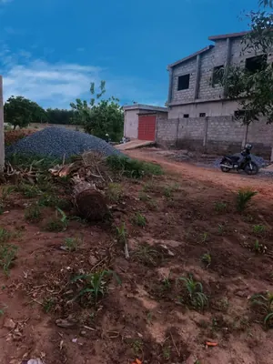 Terrain demi-lot 600 m² en vente à Aképé, côté péage Lomé-Kpalimé – 10 millions FCFA à débattre — photo 3
