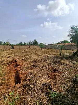 Terrain 1000 m² en vente à Zanguera Klémé Château – 33 millions FCFA — photo 5