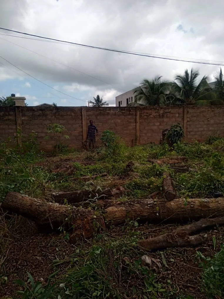 Terrain 2 lots à vendre à Wonyomé Adidogomé – 35 millions FCFA le lot
