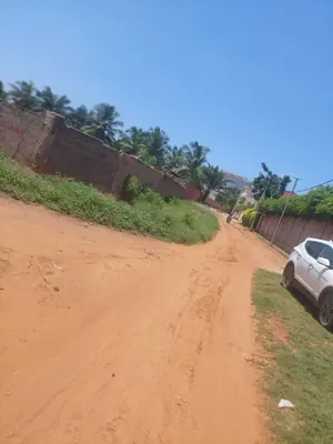 Terrain 2 lots en vente à Avenou proche du goudron – 55 millions FCFA le lot — photo 4