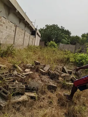Terrain en vente à Akato, face rue de 16 – 12,5 millions FCFA