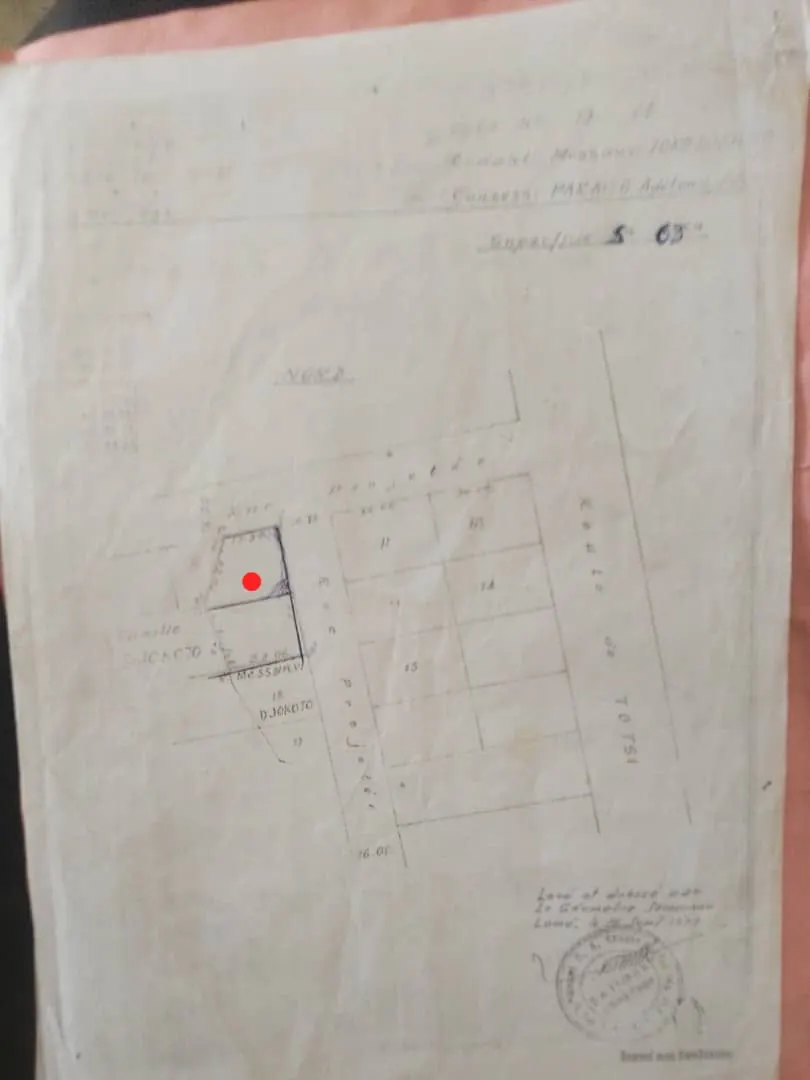 Terrain en angle de rue de 1800 m² à vendre à Djidjolé – 42 millions FCFA