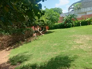 Vente d'une villa à Agoè (Lycée d'Agoè), 5 chambres, demi-lot, R+1, à 250m du goudron – 55 millions FCFA — photo 17