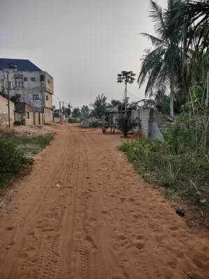 Terrain demi-lot 300 m² à vendre à Akato Démé – 7 500 000 FCFA
