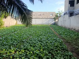 Vente d'un terrain à Kpogan, près de demi-lot (223,5 m²), à 50 m de la route nationale n°2 – 9 millions FCFA à débattre — photo 3