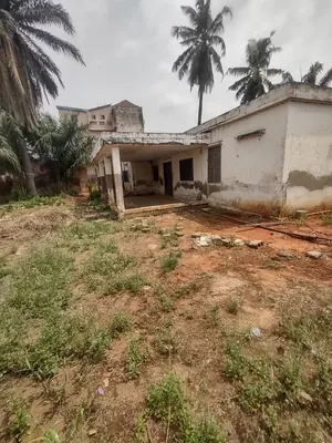 Maison en vente sur lot dépassé à Tokoin Protestant, Lomé – 90 millions FCFA — photo 2
