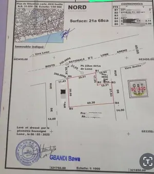 Terrain 3 lots au bord du goudron Lomé-Aneho à Kpogan – 35 millions FCFA le lot