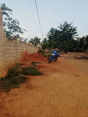 Terrain ¼ lot en angle de rue à vendre à Ségbé Démé – 5 millions FCFA — photo 3