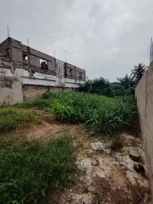 Terrain 300 m² en vente proche du goudron à Adidogomé Attigangomé Molo Molo – 18 millions FCFA — photo 3