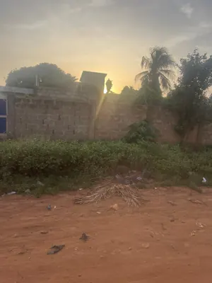 Terrain demi-lot à vendre à Agoè Mariam – 25 millions FCFA