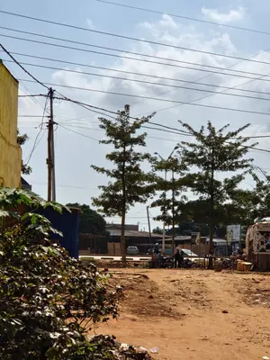 Terrain 13 800 m² en vente à Aképé – 17 millions FCFA le lot — photo 3