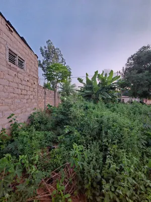 Terrain 754 m² en vente en bordure de voie à Sogbossito près du carrefour Kpogli – 30 millions FCFA — photo 3