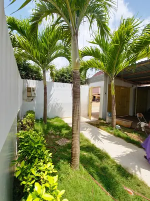 Vente d'une villa à Agoè Zongo École Malaïka, R+1 avec dépendances, jardin, titre foncier personnel – 75 millions FCFA — photo 13