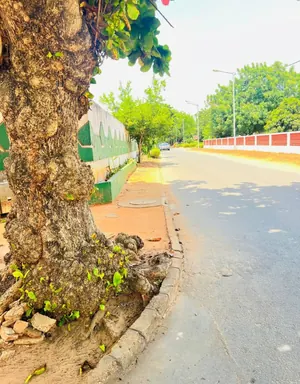 Ancienne résidence à vendre à la Cité Renaissance (Caisse) à Lomé – 330 millions FCFA