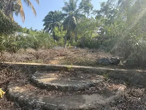 Vente de terrain à Agbodrafo Bédjimè, 5 lots clôturés en bordure du lac – 280 millions FCFA — photo 3
