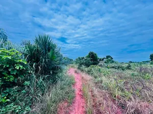 Terrain 24 lots en vente à Zanguera Ancien Péage, à 1 km du goudron N5 – 8 000 000 FCFA le lot