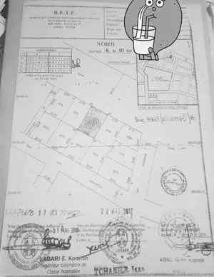 Terrain 765 m² en vente à Attiegou – 65 millions FCFA — photo 2