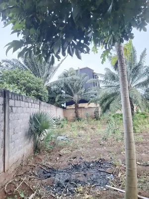 Terrain 1109 m² en vente à Agoè Telessou (Carrefour Pardon) – 45 millions FCFA — photo 6