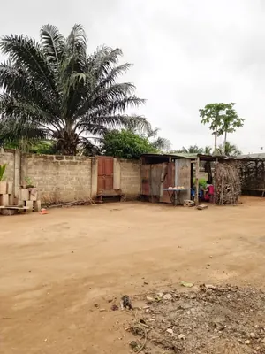 Terrain demi-lot 300 m² en vente à Legbassito Zovadjin – 11 millions FCFA — photo 2