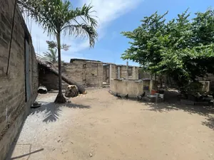 Terrain 450 m² en vente à Dékon Terrainvito, proche du goudron – 70 millions FCFA — photo 4