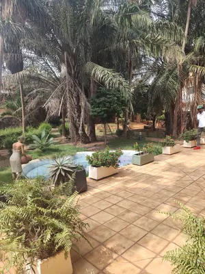 Villa duplex 4 chambres 4760 m² en vente bord du goudron à Novissi – 1,5 milliard FCFA — photo 2