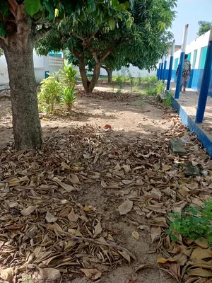 Terrain 1 lot en vente à Klikamé Catholique, Lomé – 60 millions FCFA — photo 2