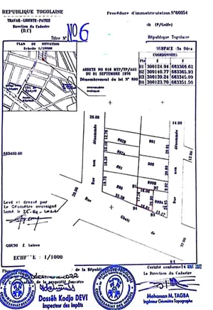 Terrain demi-lot de 301 m² en vente au bord d'une grande voie à Djidjolé – 40 millions FCFA