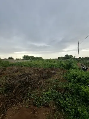 Terrain demi-lot de 300 m² en vente à Aképé Péage sur la déviation – 6,5 millions FCFA