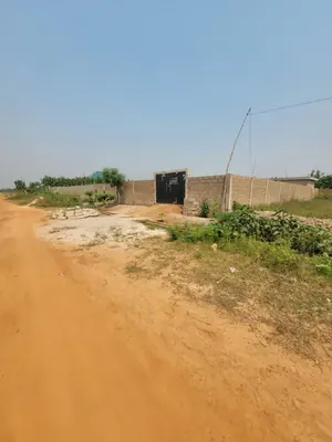 2 lots de terrain en vente à Adroukpapé, proche d'Adetikopé – 4,5 millions FCFA le lot — photo 4
