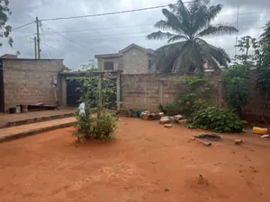 Vente d'une maison à Hedzranawoé, 3 pièces, 600 m² – 55 millions FCFA à débattre — photo 3