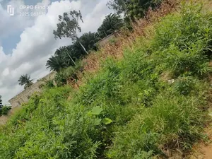 Terrain demi-lot 300 m² en vente en angle de rue à Agoè Sogbossito – 11 millions FCFA — photo 5