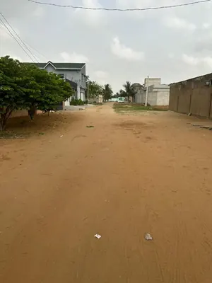 Terrain 1500 m² en vente à Baguida – 50 millions FCFA le lot — photo 4