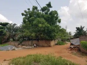 Terrain demi-lot en vente en angle de rue à Légbassito Madjikpeto – 12 500 000 FCFA — photo 2