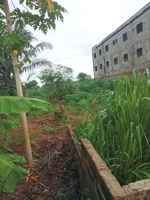 Terrain nu à vendre à Akepedo Agban Yéyé Tchoin – 15 millions FCFA
