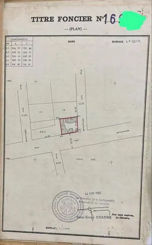 Terrain 450 m² en vente en angle de rue à Tokoin Soted – 70 millions FCFA — photo 3