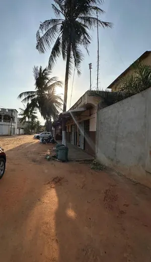 Terrain 300 m² en vente à Léo 2000-Telessou – 28,5 millions FCFA — photo 2