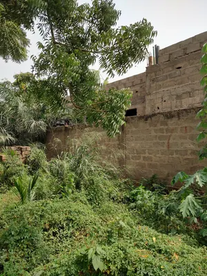 Terrain 1 lot en vente à Adidogomé Amadanhomé – 28 millions FCFA — photo 4