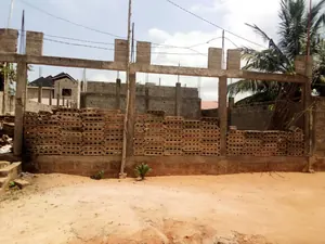 Maison inachevée sur dalle 3 chambres 300 m² en vente à Zanguéra Klémé Agokpanou – 25 millions FCFA — photo 3