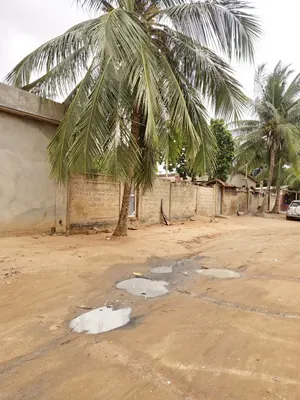 Terrain 300 m² en vente à Sanguéra Klemé – 13 millions FCFA — photo 3