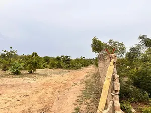 80 lots de terrain à vendre à Adetikopé PIA – 10 millions FCFA le lot