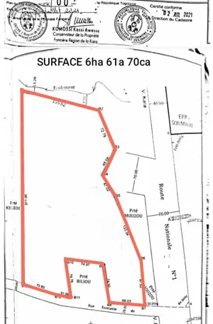Terrain 6,50 hectares en vente à Kara Awandjélo – 162,5 millions FCFA