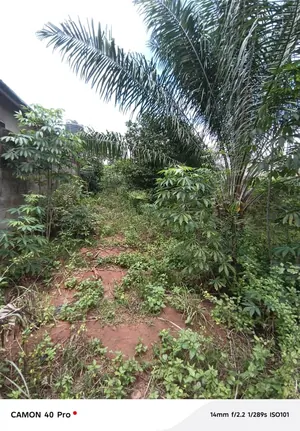 Terrain clôturé en vente à Vakpossito près de l'école NDE – 30 millions FCFA — photo 4