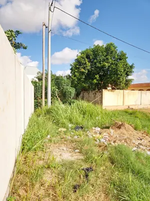 Vente d'un terrain à Légbassito, 911 m² (1,5 lot), à 120 m du goudron contournement – 45 millions FCFA — photo 2