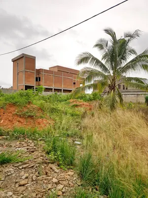 Terrain 1 lot (600 m²) en vente à Agoè Légbassito Napoléon – à partir de 20 millions FCFA — photo 3