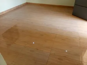 Villa 1 chambre en vente en bordure de goudron à Agoè 2 Lions – 35 millions FCFA — photo 4