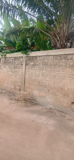 Terrain de 150 m² en vente derrière l'entreprise de l'Union à Lomé – 8,5 millions FCFA — photo 1
