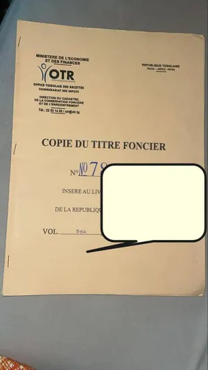Terrain demi-lot carré à vendre à Zanguera en face de l'école Les Victorieux – 13 millions FCFA — photo 1